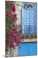 Cuba, Havana. Bougainvillea blooms in Old Town.-Brenda Tharp-Mounted Photographic Print