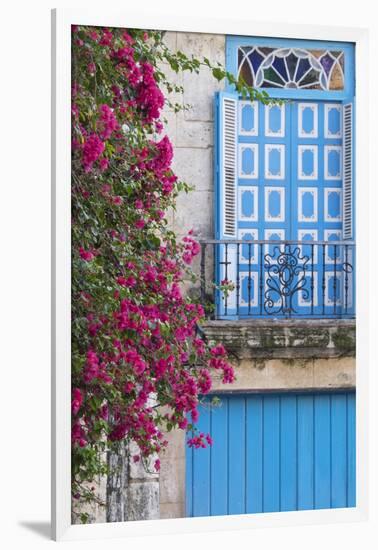 Cuba, Havana. Bougainvillea blooms in Old Town.-Brenda Tharp-Framed Photographic Print