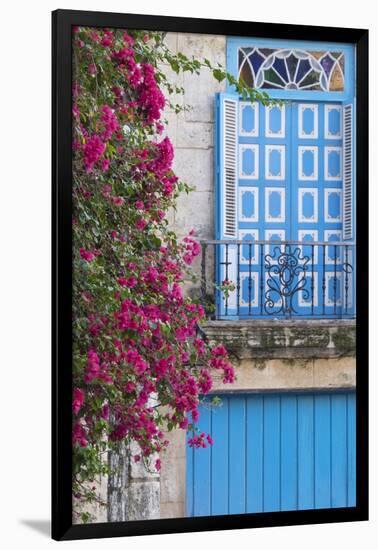 Cuba, Havana. Bougainvillea blooms in Old Town.-Brenda Tharp-Framed Photographic Print