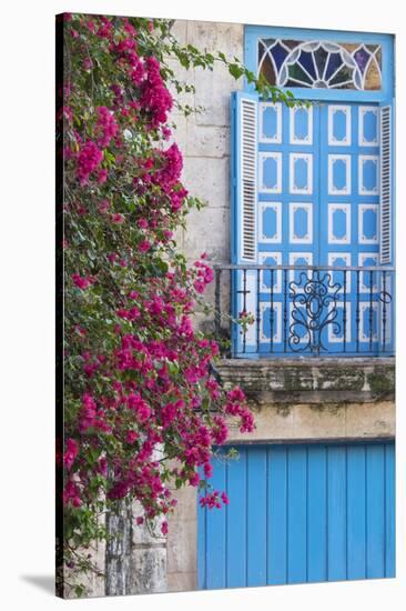 Cuba, Havana. Bougainvillea blooms in Old Town.-Brenda Tharp-Stretched Canvas