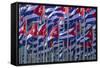 Cuba, Havana. Flags Wave in the Breeze-Brenda Tharp-Framed Stretched Canvas