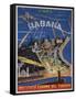Cuba, Havana, Instituto Cubano Del Turismo, Travel Poster-null-Framed Stretched Canvas