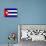 Cuba National Flag Poster Print-null-Poster displayed on a wall