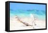 Cuba Painting - Beach Scum-Philippe Hugonnard-Framed Stretched Canvas
