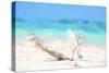 Cuba Painting - Beach Scum-Philippe Hugonnard-Stretched Canvas