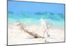 Cuba Painting - Beach Scum-Philippe Hugonnard-Mounted Art Print