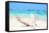 Cuba Painting - Beach Scum-Philippe Hugonnard-Framed Stretched Canvas