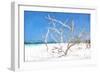 Cuba Painting - Beach Trees II-Philippe Hugonnard-Framed Art Print