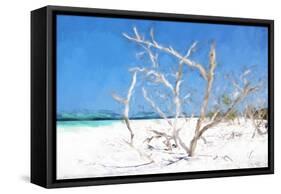 Cuba Painting - Beach Trees II-Philippe Hugonnard-Framed Stretched Canvas