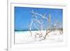 Cuba Painting - Beach Trees II-Philippe Hugonnard-Framed Art Print