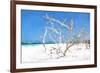 Cuba Painting - Beach Trees II-Philippe Hugonnard-Framed Art Print