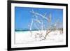 Cuba Painting - Beach Trees II-Philippe Hugonnard-Framed Art Print