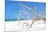 Cuba Painting - Beach Trees II-Philippe Hugonnard-Mounted Art Print