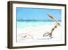 Cuba Painting - Beach Wood-Philippe Hugonnard-Framed Art Print