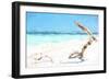 Cuba Painting - Beach Wood-Philippe Hugonnard-Framed Art Print