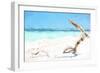 Cuba Painting - Beach Wood-Philippe Hugonnard-Framed Art Print
