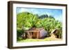 Cuba Painting - Country House-Philippe Hugonnard-Framed Art Print