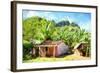 Cuba Painting - Country House-Philippe Hugonnard-Framed Art Print