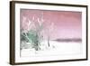 Cuba Painting - Light Pink Memories-Philippe Hugonnard-Framed Art Print