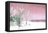 Cuba Painting - Light Pink Memories-Philippe Hugonnard-Framed Stretched Canvas