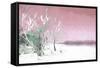 Cuba Painting - Light Pink Memories-Philippe Hugonnard-Framed Stretched Canvas