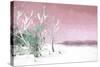 Cuba Painting - Light Pink Memories-Philippe Hugonnard-Stretched Canvas