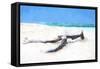 Cuba Painting - Lying on the Beach-Philippe Hugonnard-Framed Stretched Canvas