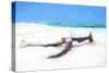 Cuba Painting - Lying on the Beach-Philippe Hugonnard-Stretched Canvas