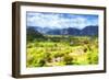 Cuba Painting - Vinales-Philippe Hugonnard-Framed Premium Giclee Print