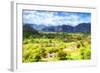 Cuba Painting - Vinales-Philippe Hugonnard-Framed Art Print