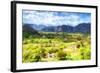 Cuba Painting - Vinales-Philippe Hugonnard-Framed Art Print