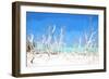 Cuba Painting - White Forest-Philippe Hugonnard-Framed Art Print