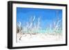 Cuba Painting - White Forest-Philippe Hugonnard-Framed Art Print