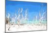 Cuba Painting - White Forest-Philippe Hugonnard-Mounted Art Print