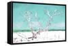 Cuba Painting - White Tree-Philippe Hugonnard-Framed Stretched Canvas