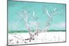 Cuba Painting - White Tree-Philippe Hugonnard-Mounted Art Print