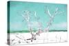 Cuba Painting - White Tree-Philippe Hugonnard-Stretched Canvas