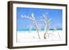 Cuba Painting - White Trees II-Philippe Hugonnard-Framed Premium Giclee Print