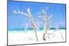 Cuba Painting - White Trees II-Philippe Hugonnard-Mounted Art Print