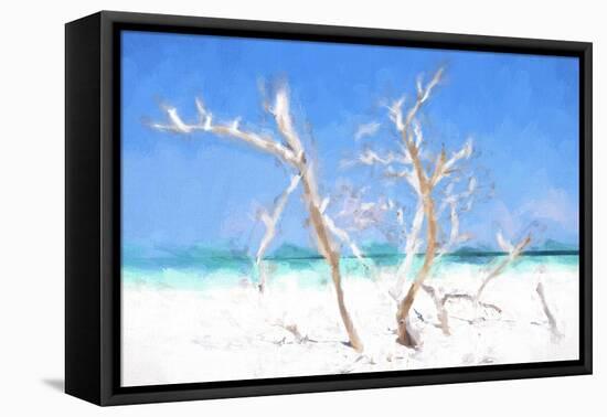 Cuba Painting - White Trees II-Philippe Hugonnard-Framed Stretched Canvas