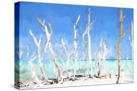 Cuba Painting - White Trees-Philippe Hugonnard-Stretched Canvas