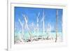 Cuba Painting - White Trees-Philippe Hugonnard-Framed Art Print