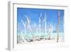 Cuba Painting - White Trees-Philippe Hugonnard-Framed Art Print