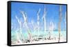 Cuba Painting - White Trees-Philippe Hugonnard-Framed Stretched Canvas