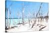 Cuba Painting - Wild Beach-Philippe Hugonnard-Stretched Canvas