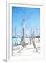 Cuba Painting - Winter Beach-Philippe Hugonnard-Framed Art Print