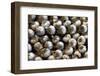 Cuba, Santa Clara. Garlic Cloves for sale in a local street market.-Kymri Wilt-Framed Photographic Print