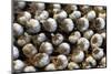 Cuba, Santa Clara. Garlic Cloves for sale in a local street market.-Kymri Wilt-Mounted Photographic Print