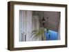 Cuba, Trinidad, Plaza Mayor, Museo De Arqitectura Trinitaria - Trinidad Architecture Museum-Jane Sweeney-Framed Photographic Print