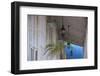 Cuba, Trinidad, Plaza Mayor, Museo De Arqitectura Trinitaria - Trinidad Architecture Museum-Jane Sweeney-Framed Photographic Print